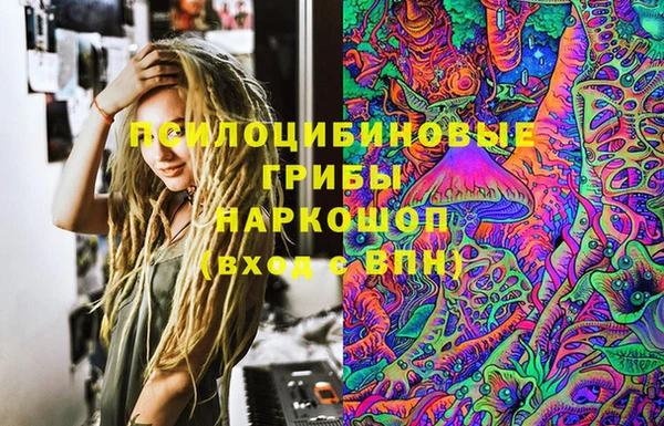 индика Верхний Тагил