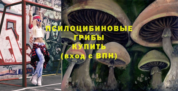 стафф Верея
