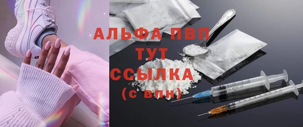 PSILOCYBIN Волосово