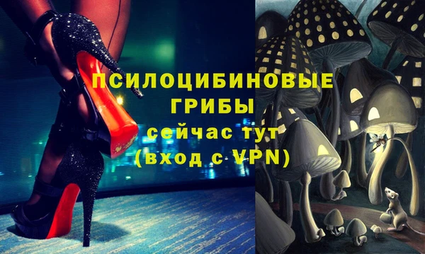индика Верхний Тагил