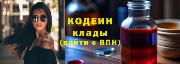 индика Верхний Тагил