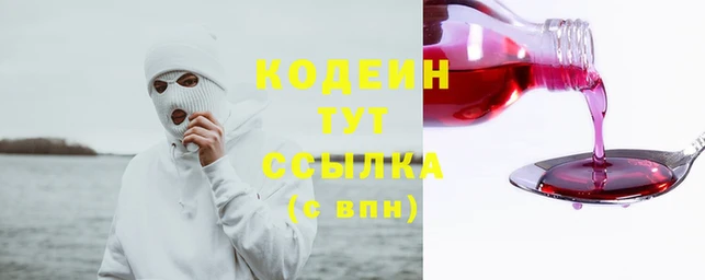 индика Верхний Тагил