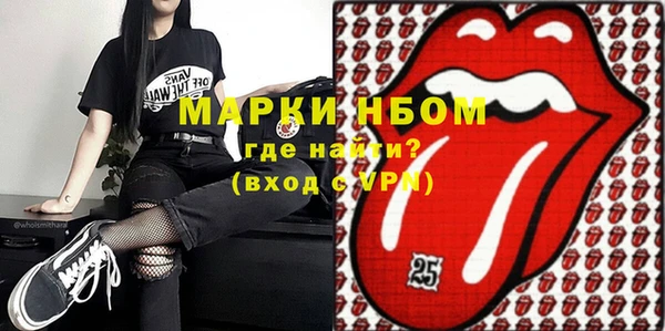 индика Верхний Тагил