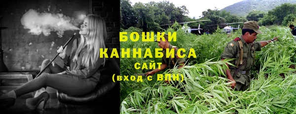 индика Верхний Тагил