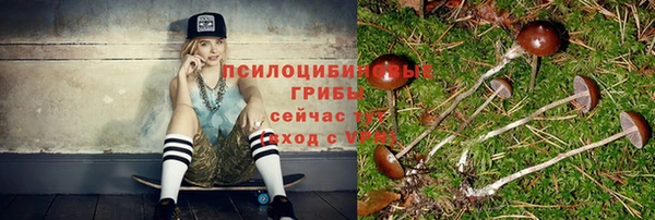 индика Верхний Тагил