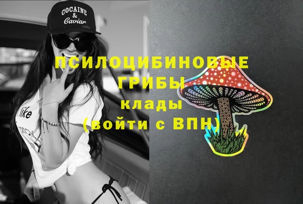 стафф Верея