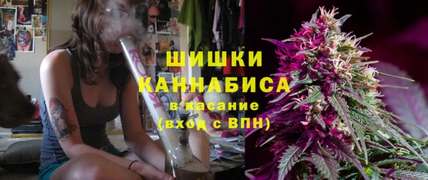 индика Верхний Тагил