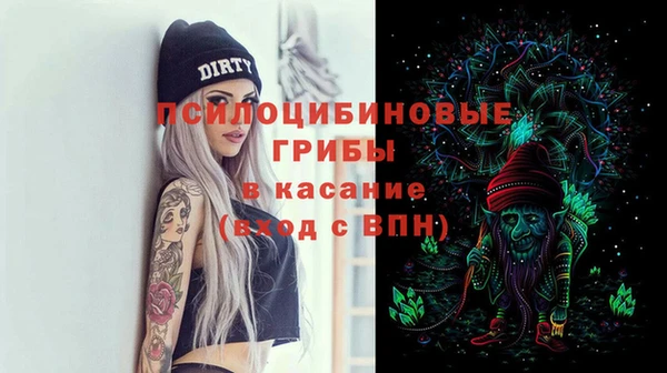 PSILOCYBIN Волосово