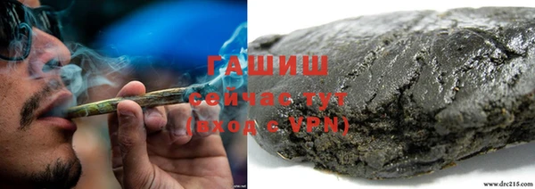 индика Верхний Тагил